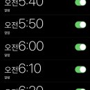 23. 너무 덥지만 또 행복한 일도 많았던 7월