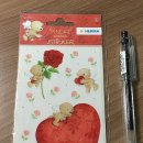아모어(amor)