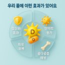 부천역곡탑정형외과의원 | 부천역곡탑정형외과 🌞 뼈 건강 &amp; 면역력, 비타민 D로 해결!
