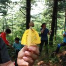 박석3농장 이미지