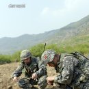 해병대제2사단(수색대대)