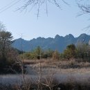 오랜만에 산에 다녀 왔읍니다 이미지