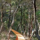 회동수원지 이미지