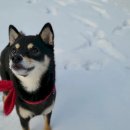 어부바펜션 이미지