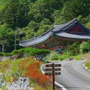 봉복사 - 1354 | 봉복사
