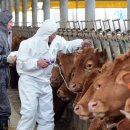 인천축산 이미지