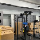 펠리스짐(능동점) 이미지