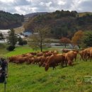 국민한우농장 이미지