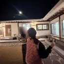 춘희네 | 가평 촌캉스 춘희네 뚜벅이도 방문 가능한 숙소 대만족 찐후기 찜질방 자쿠지