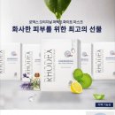 로덱스&리버스 - 포항시 남구 중앙로122번길 6-3 | 로덱스&리버스