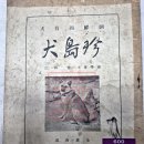 진도견(조선고유견) 모리 교수-원본(사진) 총20장 이미지