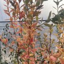 선미농장 이미지