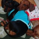 청곡사료 이미지