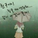 우산 - 양광모 이미지