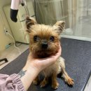 반야시스터 이미지