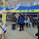 선운초등학교 이미지