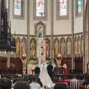 명동축사 | 명동성당 결혼식 식사 분위기 명동대성당 하객 후기