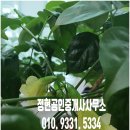 정현공인중개사사무소 이미지