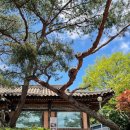 이대감식당 이미지