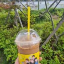 메가엠지씨커피부산명지오션 | 부산 메가MGC커피 부산명지오션퍼스트점 후기