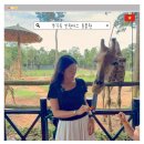 기린여행사(주) | 푸꾸옥 빈원더스 일정 시간 워터파크 동물원 콤보 가격 비교