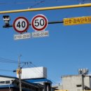 황지중앙초등학교 강원일보