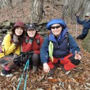 대안1길 이미지