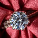 보석이네 이미지