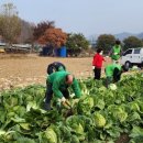 중앙동5 이미지