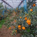 기중농장 이미지