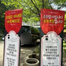 [남양주 아이와 가볼만한곳] 32개월 쌍둥이 아들이랑 계곡 식당 남양주 '아르페지오' 후기