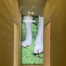 레푸스앤스타일일산