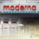 모더나마케팅