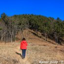 앵산꾀꼬리길 이미지