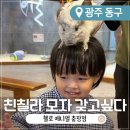 애니멀타임 | 광주 충장로 놀거리 실내 동물원 키즈카페 헬로애니멀