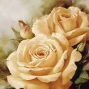 김수녕양궁장 이미지