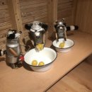 노아약국 이미지