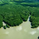 MOM’S GARDEN 이미지