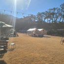 지리산하늘과바람과별과개 이미지