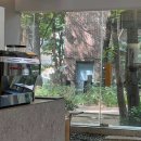 강남-251 이미지