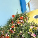 배곧새봄유치원 이미지