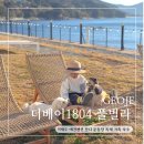 거제도더베이1804풀빌라펜션 | 거제도 애견 펜션 잔디 운동장 더베이 1804 풀빌라 독채 가족 숙소