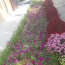 오산보건지소 이미지