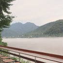CW-1462-01 | 남양주 은행나무 카페 추천 북한강 드라이브 코스 가볼만한곳, 아유스페이스