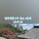 밀양농협주유소 이미지