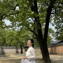한복입고 경복궁가기 드디어 미션성공☆, 도령아씨한복 추천