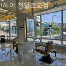 리안헤어 천일초교점