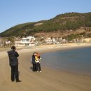와현해수욕장 네이버블로그