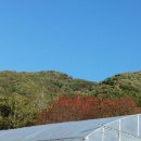 알이랑농장 이미지