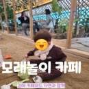 김해 카페위드 자연과함께 아이랑 실내모래놀이 키즈카페 후기(ft.내돈내산)